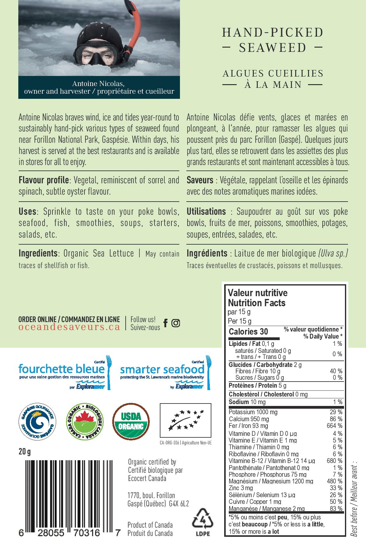 Laitue de mer (algue) - Océan de saveur