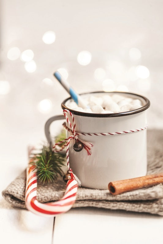 Chocolat chaud Canne de Noël sans sucre ajouté - Gourmet du village