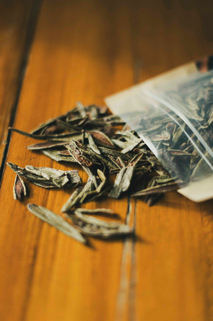 Tisane à l'érable au thé du Labrador et poivre des dunes Boréale - Trace 75 g