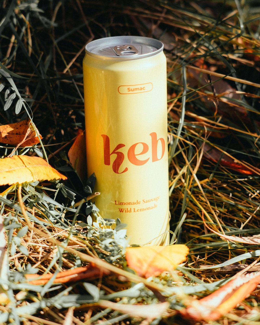 Limonade sauvage Sumac - Keb