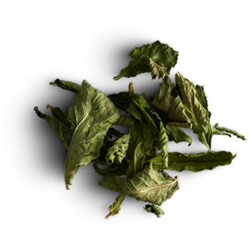 ASSORTIMENT de 5 saveurs - Tisane Inuit - Délice boréal