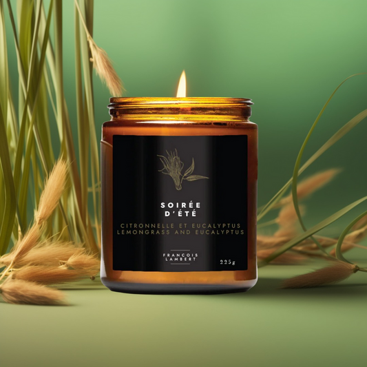 Bougie de soya Soirée d'été citronnelle et eucalyptus - François Lambert