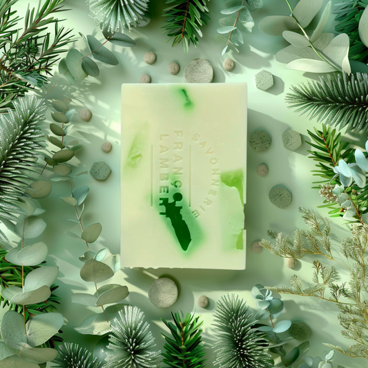 Mini savon au lait de brebis (20 g) - Eucalyptus et conifères François Lambert
