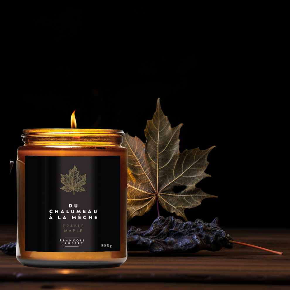 Bougie de soya (mèche de soya) - François Lambert / Choix parmis 70 parfums