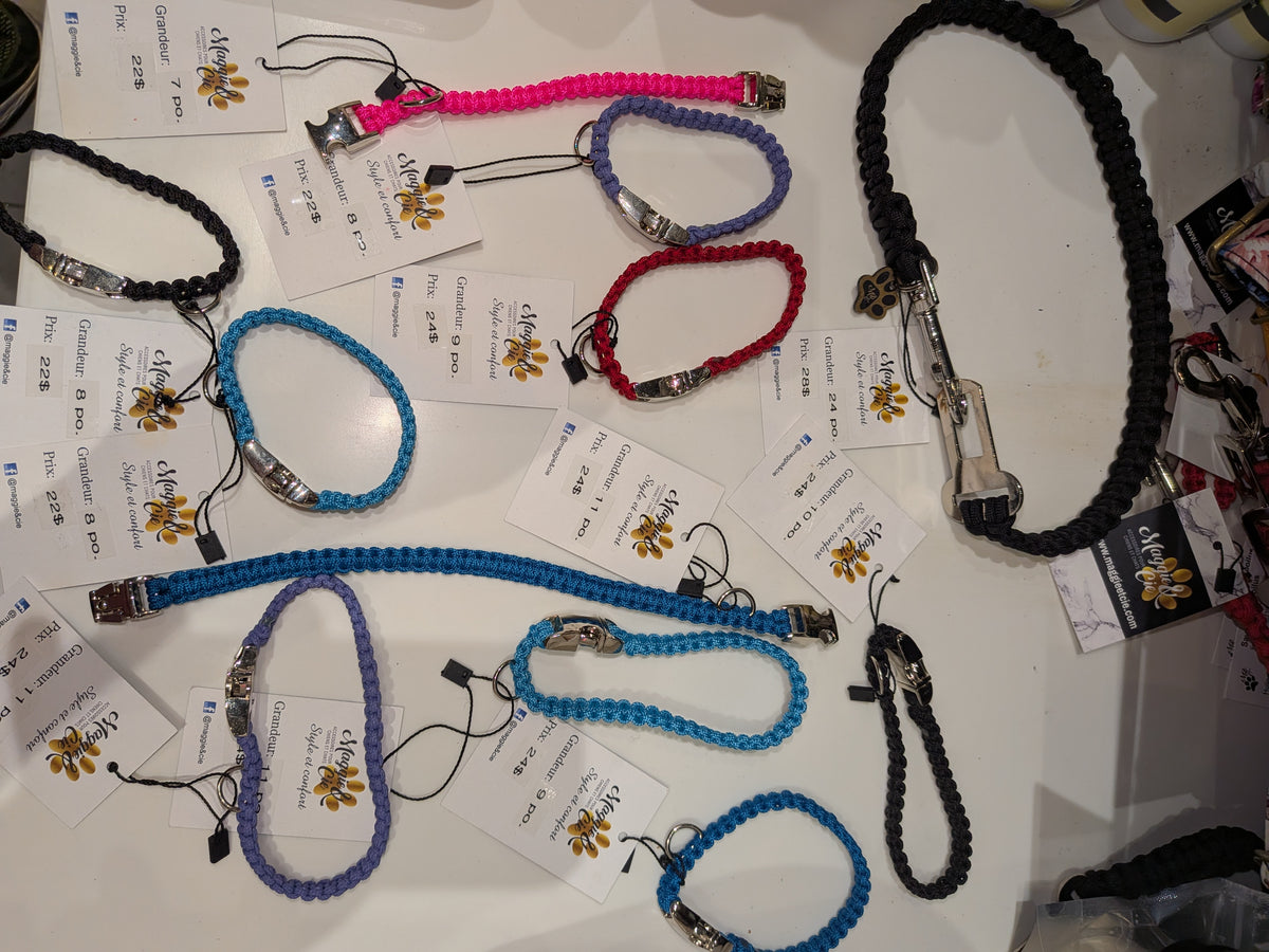 Colliers pour chats et chiens