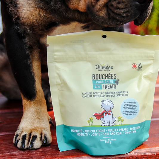 Bouchées pour chiens à base de caméline, d’insectes et d’ingrédients naturels