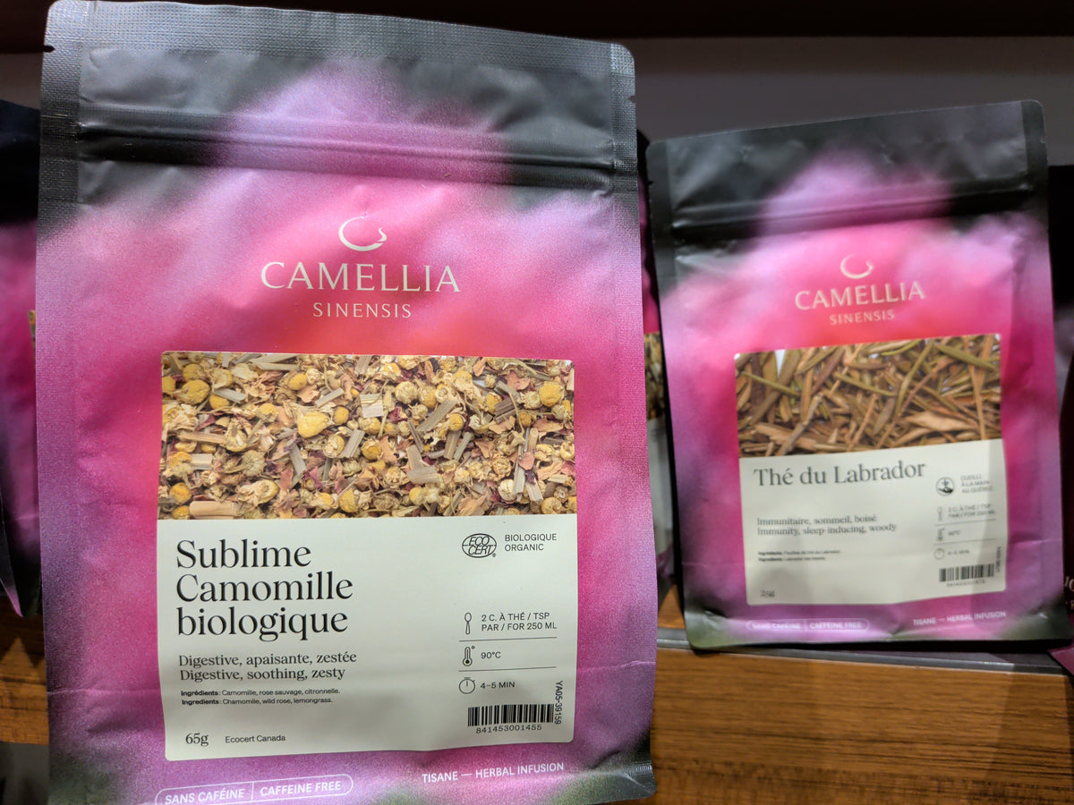 Tisane Camellia Sinensis (collection locale OU sans caféine)