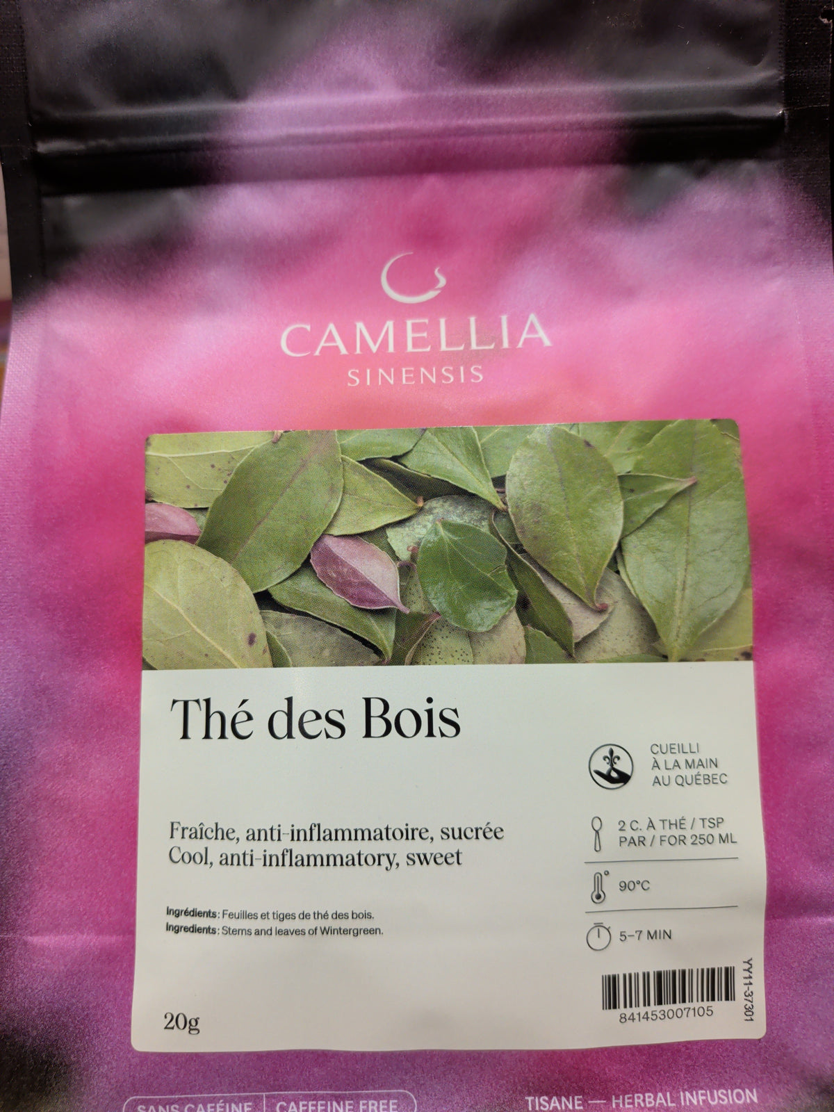 Tisane Camellia Sinensis (collection locale OU sans caféine)