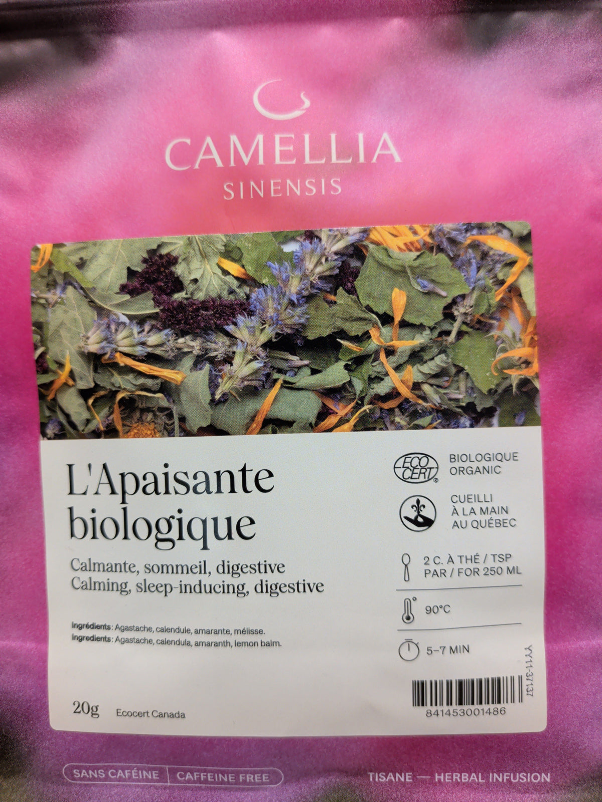 Tisane Camellia Sinensis (collection locale OU sans caféine)
