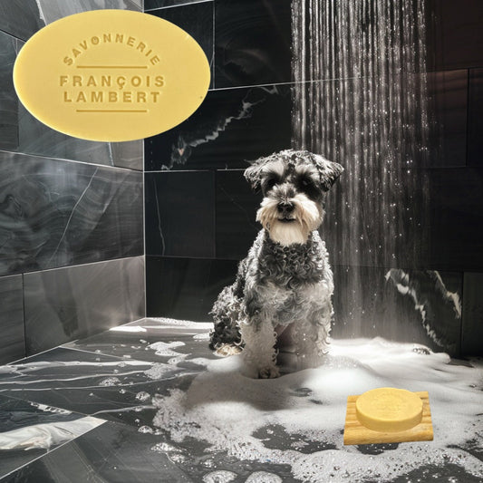 Savon pour chien en barre François Lambert