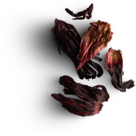 ASSORTIMENT de 5 saveurs - Tisane Inuit - Délice boréal