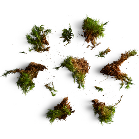 Tisane Inuit ASSORTIMENT de 5 saveurs - Tisane Inuit - Délice boréal – Keb Magasin ...